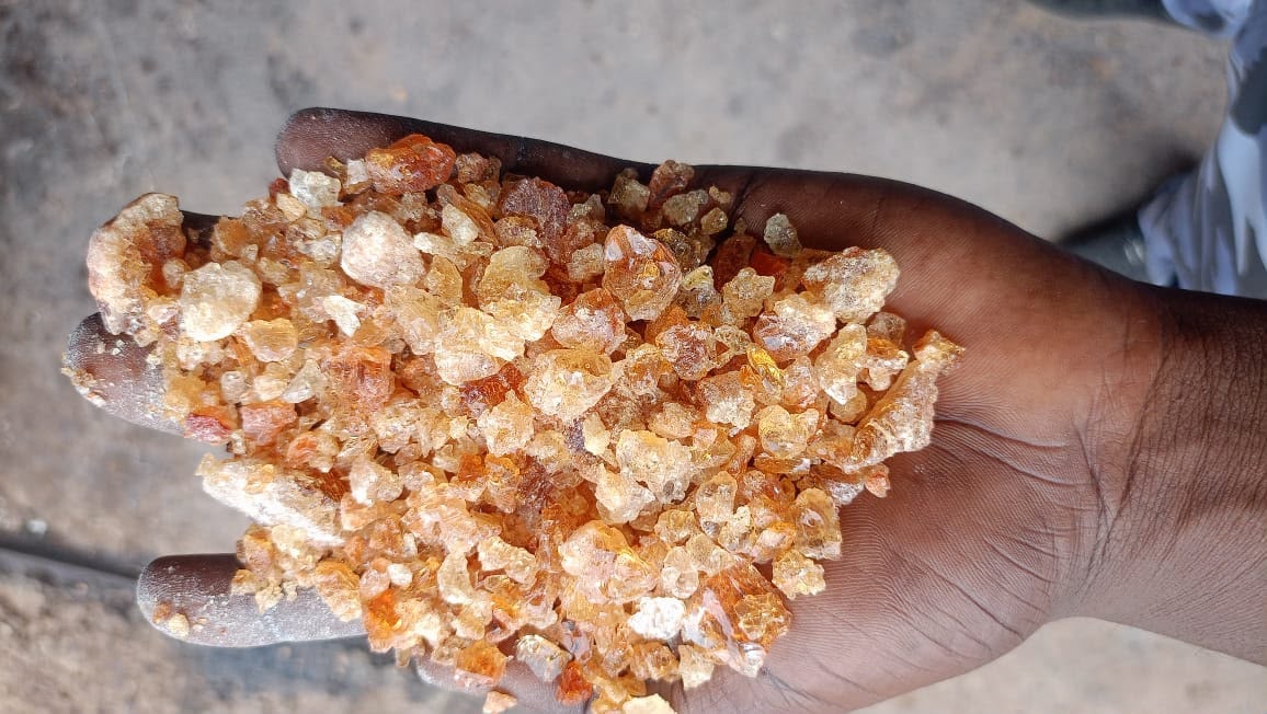 Arabic Gum
